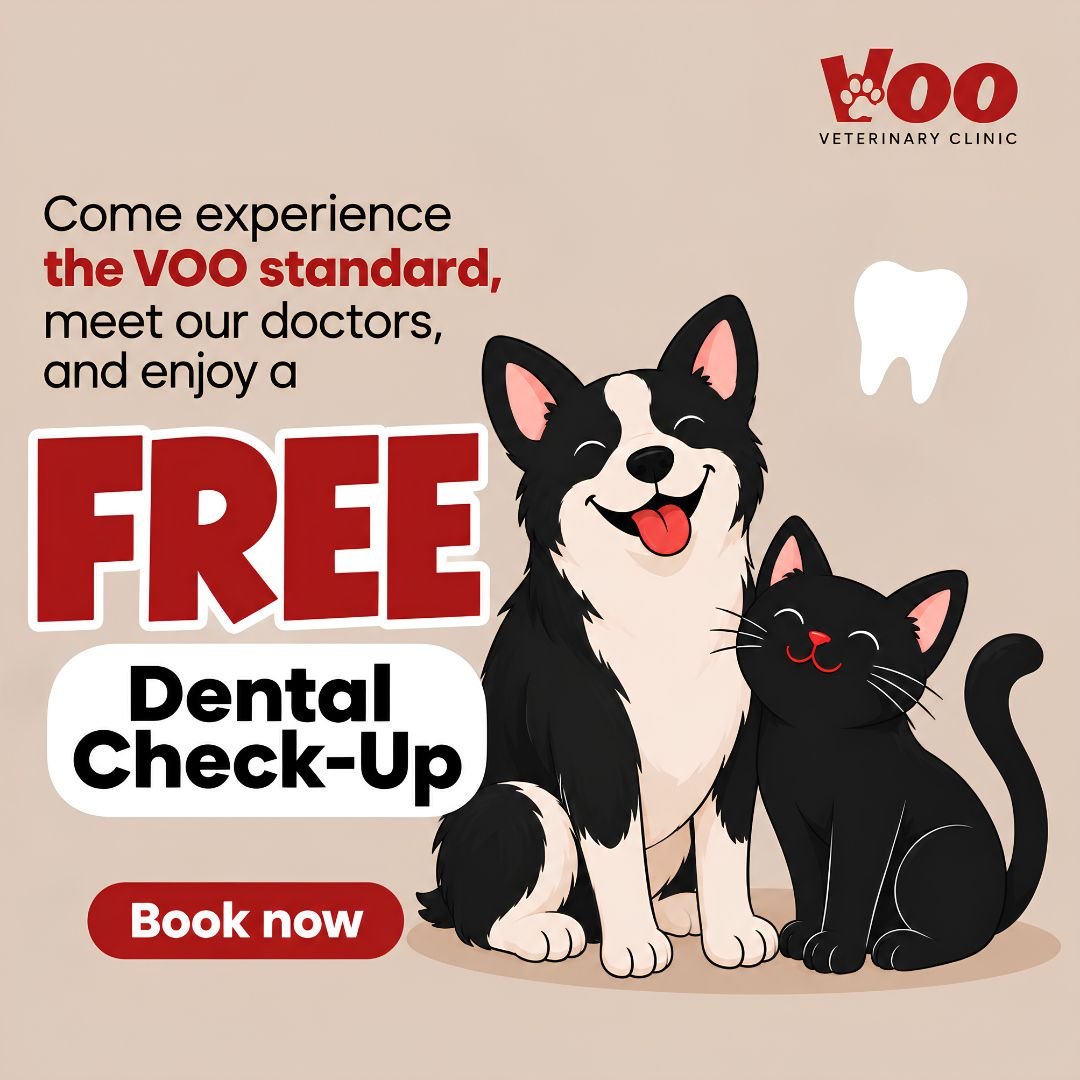 Voo Special Offer